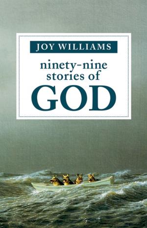 Book cover of Ninety-Nine Stories of God