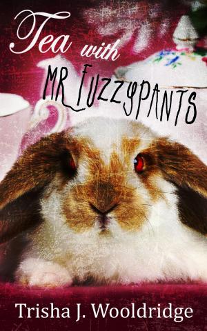 Cover of Tea with Mr. Fuzzypants