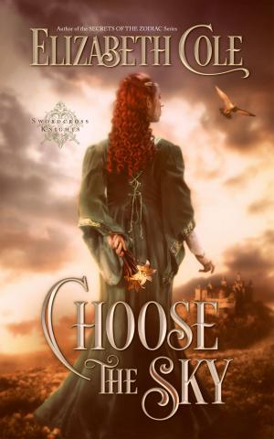 Cover of the book Choose the Sky by Elizabeth Cole