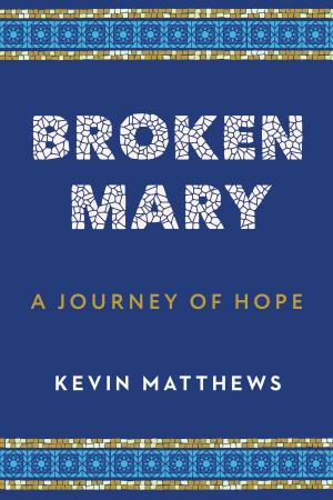 Cover of the book Broken Mary by Chris Stepien