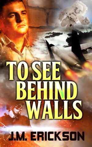 Cover of the book To See Behind Walls by J. M. Erickson