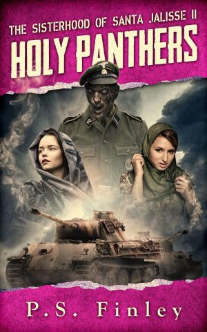 Cover of the book Holy Panthers by Evan Wolff, Apoorva Yadav