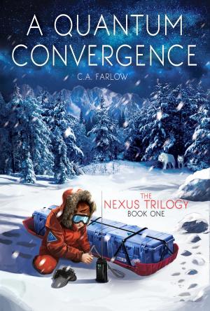 Cover of the book A Quantum Convergence by Kellie Doherty