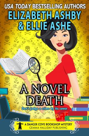 Book cover of A Novel Death (a Danger Cove Bookshop Mystery)
