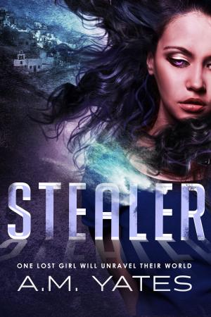 Book cover of Stealer