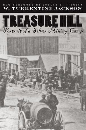 Book cover of Treasure Hill