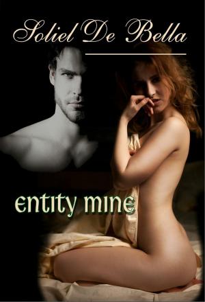 Cover of the book Entity Mine by Mindy Klasky