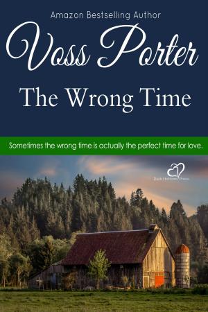 Cover of the book The Wrong Time by Erik Scott de Bie