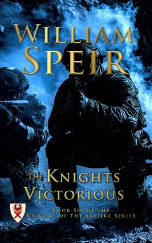 Cover of the book The Knights Victorious by Donya Lynne