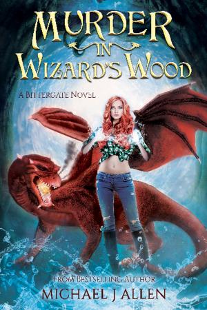 Book cover of Murder in Wizard's Wood