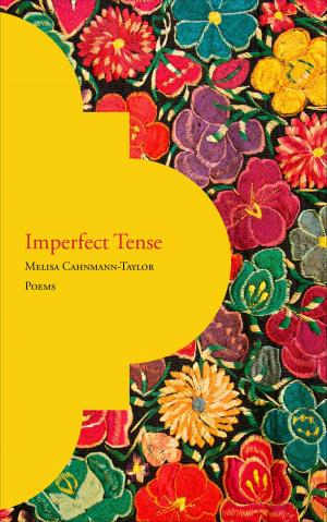 Cover of the book Imperfect Tense by Antonia Cyn