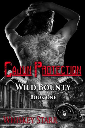 Book cover of Cajun Protection