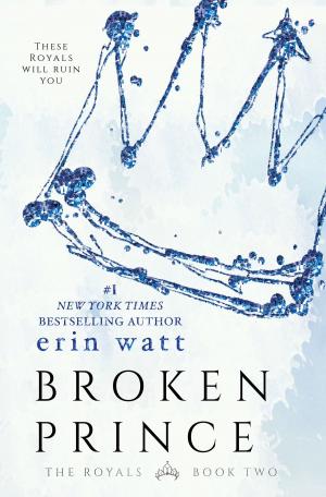 Book cover of Broken Prince