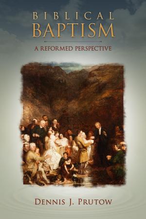 Cover of the book Biblical Baptism, A Reformed Perspective by Hannah Keeley