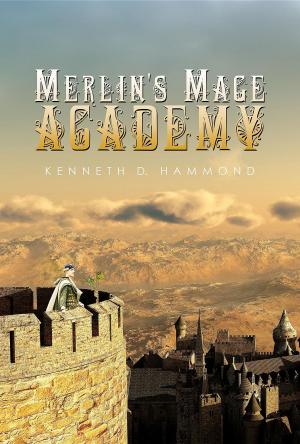 Cover of the book Merlin's Mage Academy by David Campbell