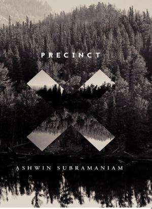 Cover of the book Precinct X by Subrat Saurabh