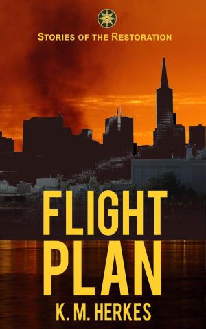 Cover of the book Flight Plan by William Walling
