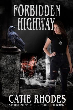 bigCover of the book Forbidden Highway by 