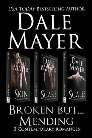 Cover of the book Broken but... Mending Set 1-3 by Dale Mayer