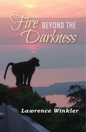 Book cover of Fire Beyond the Darkness