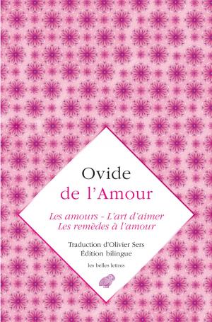 Cover of the book de l'Amour by Carlos Lévy