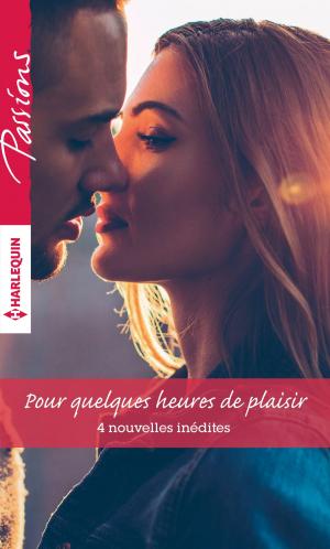 Book cover of Pour quelques heures de plaisir