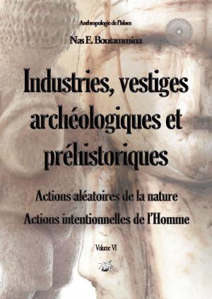 Cover of the book Industries, vestiges archéologiques et préhistoriques - Action aléatoire de la nature & Action intentionnelle de l’Homme - Volume VI by Jonas Treminger
