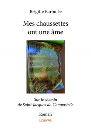 Cover of the book Mes chaussettes ont une âme by Brahim Megherbi