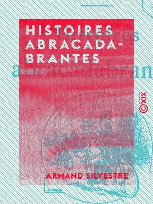 Cover of the book Histoires abracadabrantes by Émile Littré