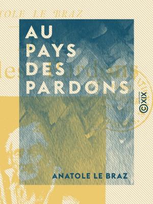 Cover of the book Au pays des pardons by Jules Simon