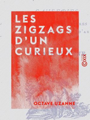 Cover of the book Les Zigzags d'un curieux by André Theuriet