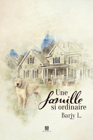 Cover of Une famille si ordinaire