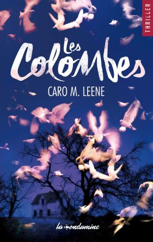 Cover of the book Les colombes by Brian Garfield