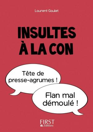 Cover of the book Petit Livre - Insultes à la con by Laurent GAULET