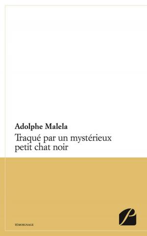 Cover of the book Traqué par un mystérieux petit chat noir by Theophany Eystathioy
