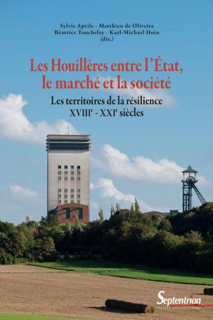 Cover of the book Les Houillères entre l'État, le marché et la société by Alain Deremetz