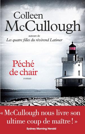 Cover of the book Péché de chair by Alain Wodrascka