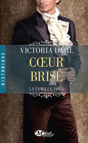 Book cover of Coeur brisé