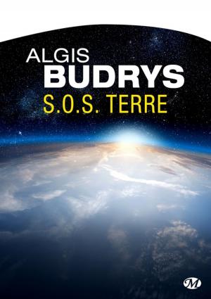 Cover of the book S.O.S. Terre by Magali Ségura
