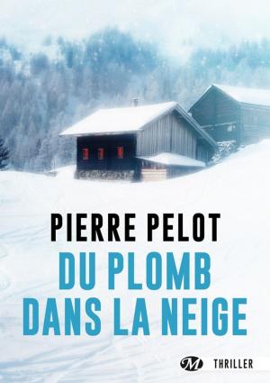 Book cover of Du plomb dans la neige