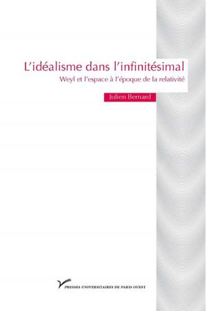 Book cover of L'idéalisme dans l'infinitésimal