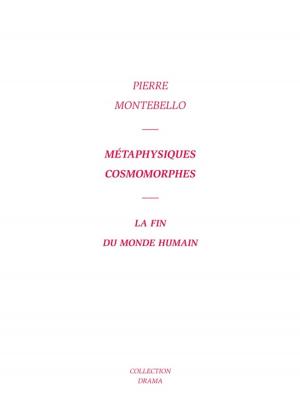 Cover of Métaphysiques cosmomorphes
