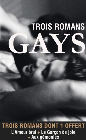 Cover of the book Trois romans gays by Morgan Bruce