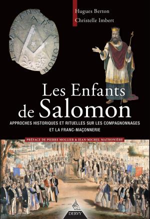 Cover of the book Les enfants de Salomon by David Taillades