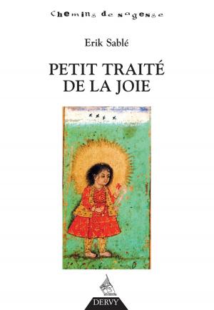 Cover of the book Petit traité de la joie by David Taillades