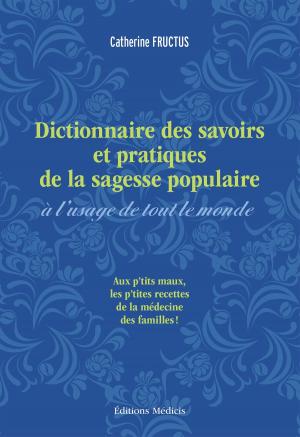Cover of the book Dictionnaire des savoirs et pratiques de la sagesse populaire à l'usage de tout le monde by Dominick Léaud-Zachoval