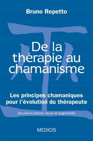 Cover of the book De la thérapie au chamanisme by Steven Redhead