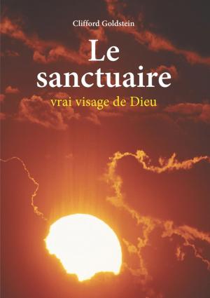 Cover of the book Le sanctuaire by Richard Lehmann