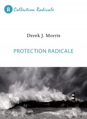 Cover of the book Protection radicale by Reinder Bruinsma