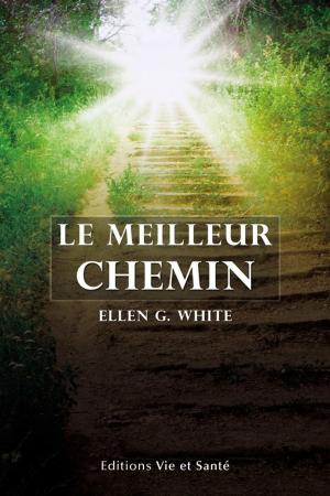 Book cover of Le meilleur chemin